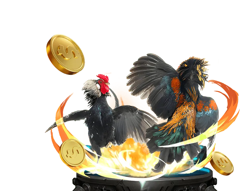 Người chơi đang thắng lớn tại máy slot nbet